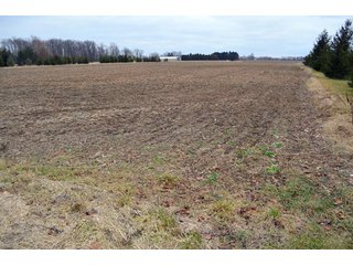 Property photo 54 - 175 Acres Offered in 5 Tracts - Tontogany, Ohio Farm Land Auction
